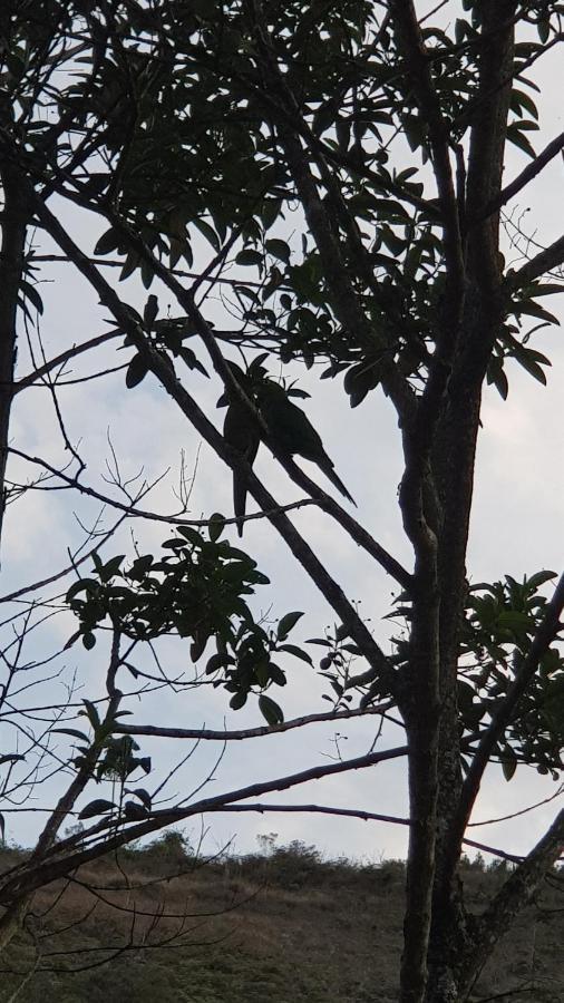 Vale Das Maritacas Teresopolis Villa Exteriör bild