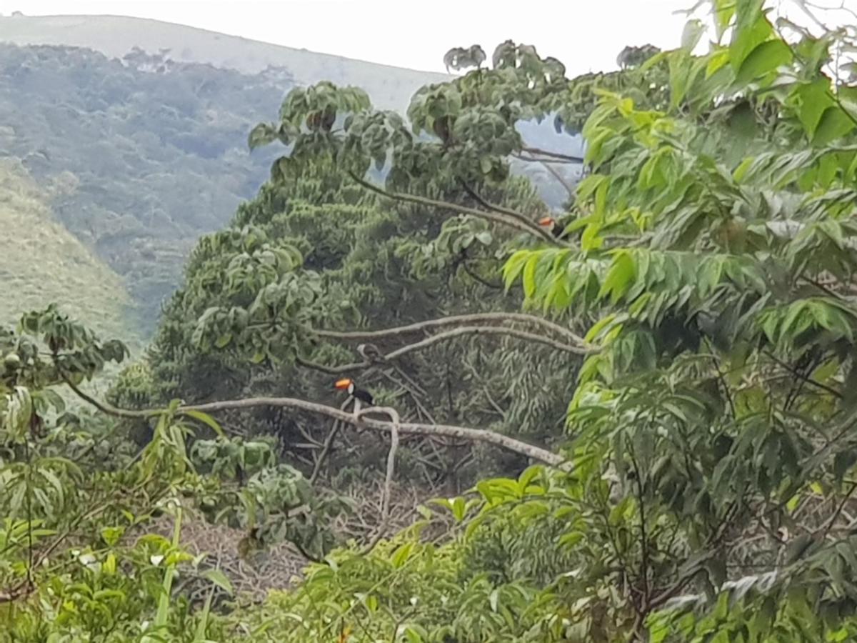 Vale Das Maritacas Teresopolis Villa Exteriör bild
