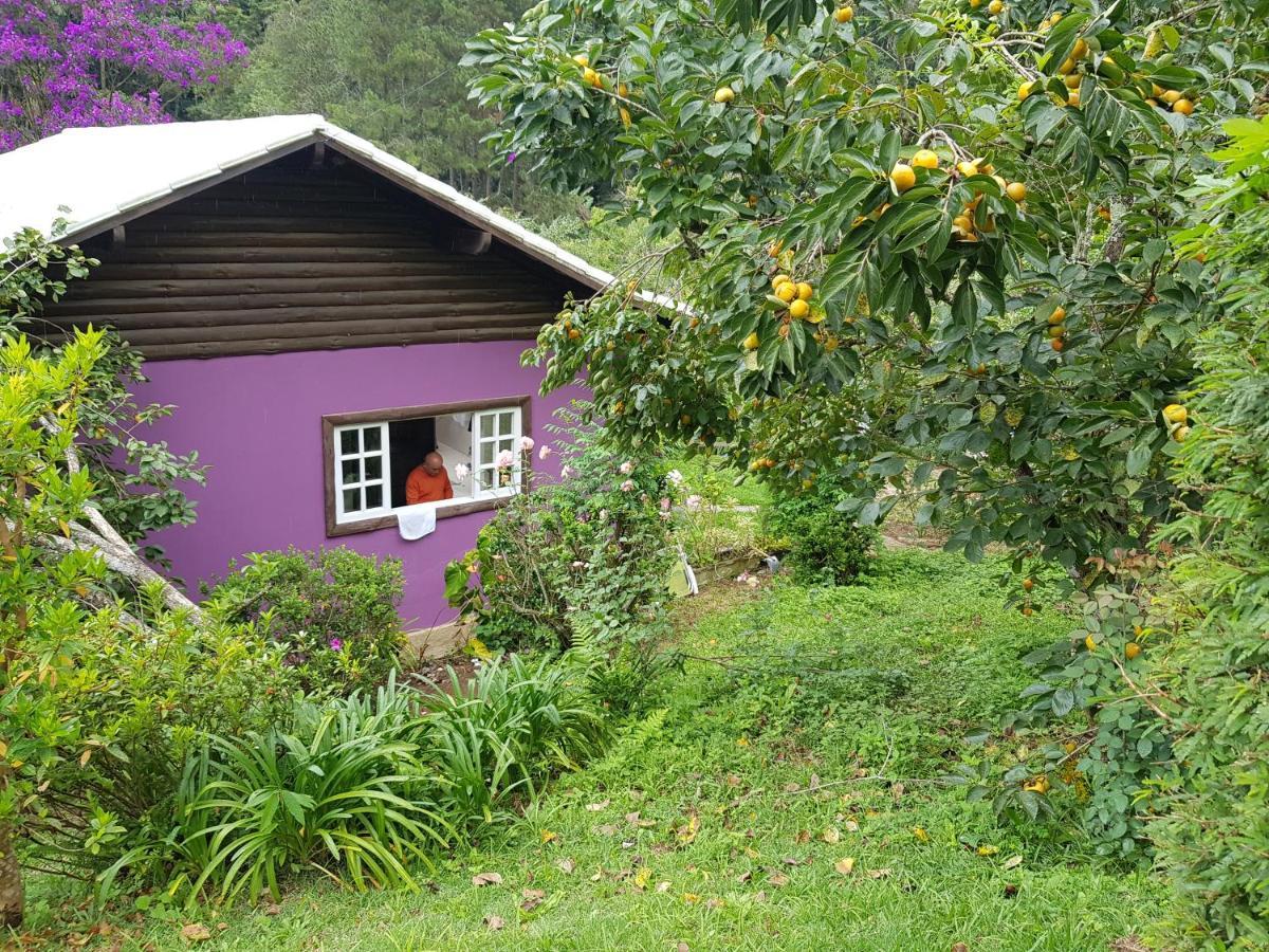 Vale Das Maritacas Teresopolis Villa Exteriör bild